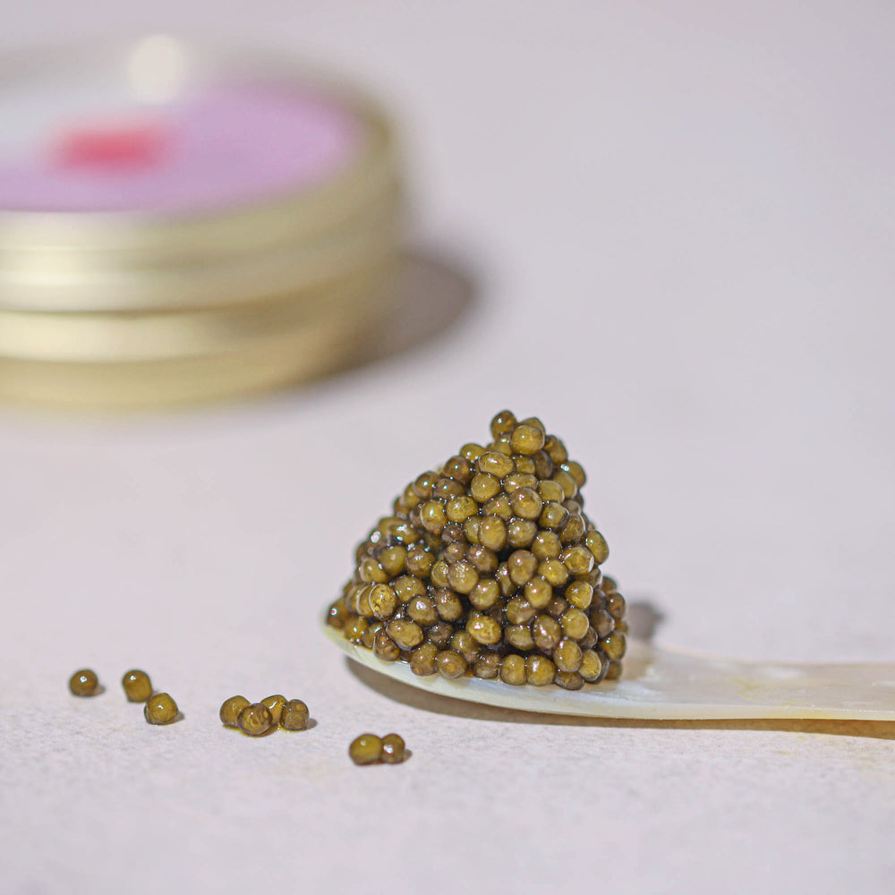 Caviar Royal Osciètre