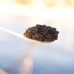 Choisir la taille de votre boite de caviar